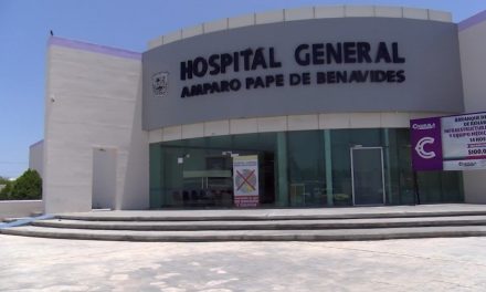 Muere sexagenario por ataque de abejas en Frontera, Coahuila