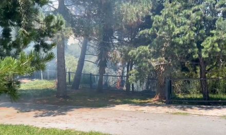 Ocurrió un incendio en el Bosque Urbano