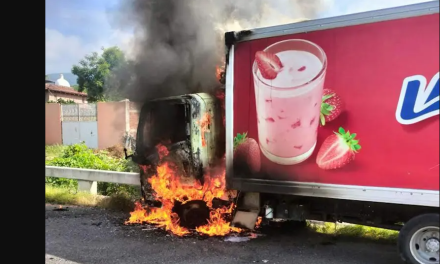 Reportan bloqueos, enfrentamientos y quema de camiones en Michoacán