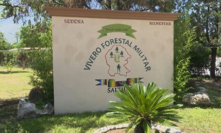 Cultiva Vivero Forestal Militar hasta un millón de plantas