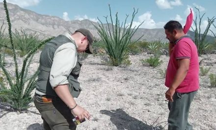 Piden acudir a toma de muestras para identificar cuerpos