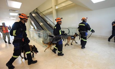 Evacuan Presidencia Municipal de Torreón durante simulacro