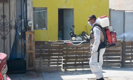Se intensifica el combate contra el dengue en todo el estado