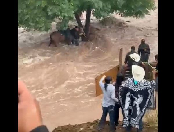Joven casi pierde la vida al rescatar a un caballo de una corriente de agua en ejido de Saltillo
