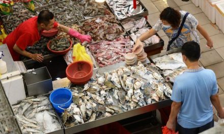 Estudio confirma el origen del Covid… habría sido en un mercado chino de pescado