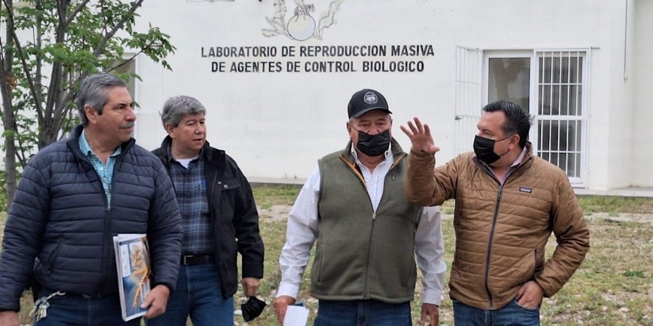 Coahuila avanza en el combate de plagas