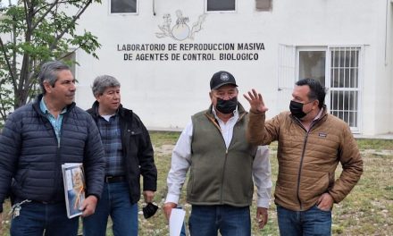 Coahuila avanza en el combate de plagas