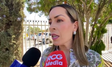 Considera Diputada Federal  que AMLO ha reprobado en materia de seguridad