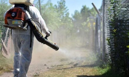 Alerta en la Comarca Lagunera por más de 400 casos probables de dengue
