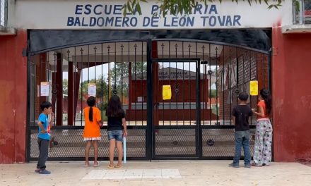 Saltillo: Infestada de garrapatas la escuela Baldomero De León