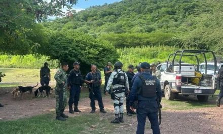 Los Viagras asesinan a productor y empacador de limón en Michoacán por no pagar extorsión