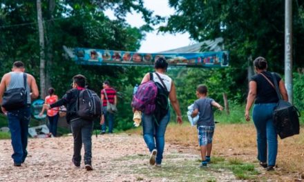 Crisis humanitaria en Michoacán: Más de 550 desplazados por la violencia en regiones indígenas