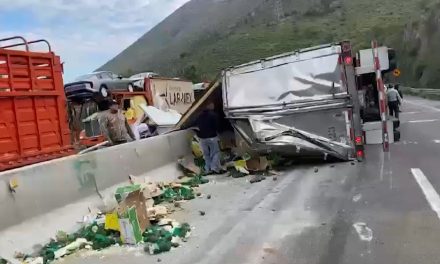 Riega el aguacate en la 57
