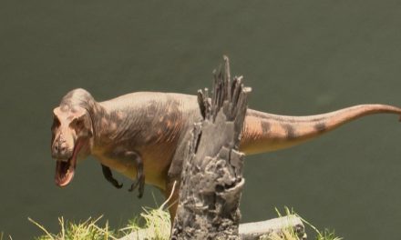 Se anuncia descubrimiento de nuevo tiranosaurio que vivió en Coahuila