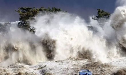Tsunami de medio metro de altura causa asombro al sur de Tokio tras terremoto de 5.9