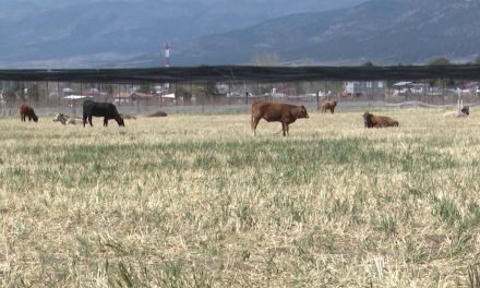 Busca diputado accedan campesinos a estímulos en tarifas eléctricas