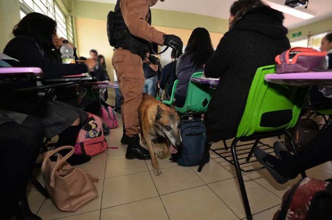 Analizan instaurar operativo mochila permanente