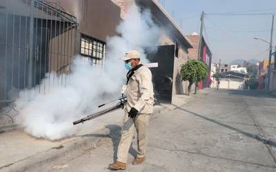 Secretaría de Salud mantiene combate contra el dengue