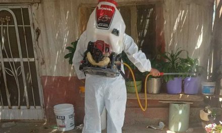 Mantienen acciones contra el dengue en la región