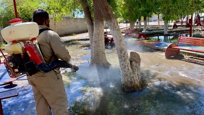 Departamento de Regulación Sanitaria combate al dengue en la Laguna