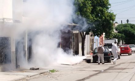 Población se suma a las acciones contra el dengue