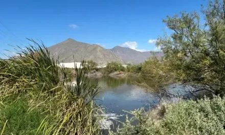 Podría llegar planta tratadora de agua a Cuatro Ciénegas