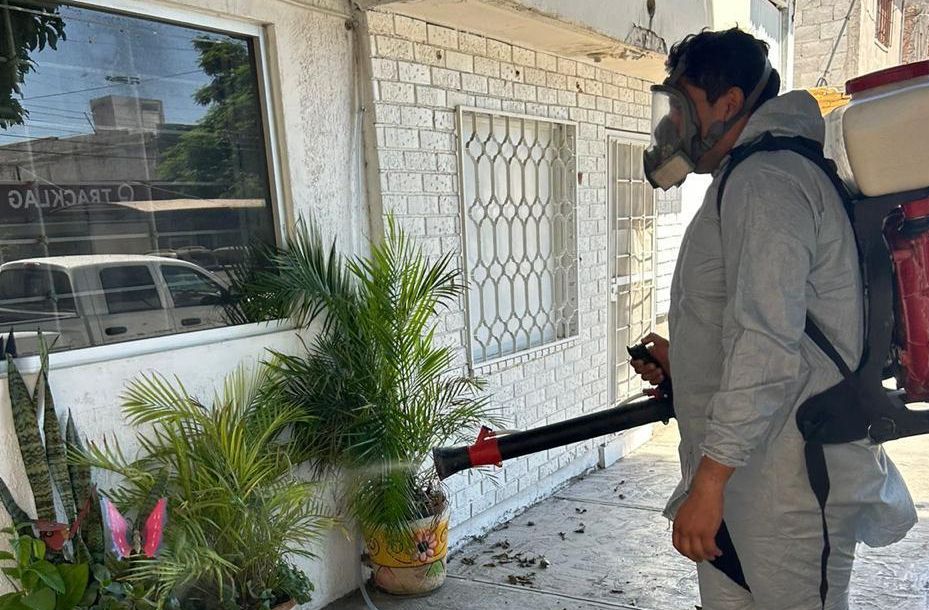 Secretaría de Salud trabaja para combatir el dengue