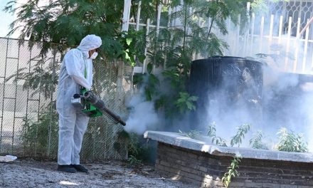 No se pausan las acciones contra el dengue en barrios y ejidos