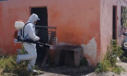 Llama Gobierno de Saltillo a prevenir el dengue