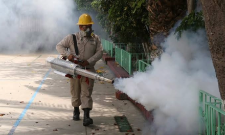 Bajan contagios de dengue en la región Fronteriza