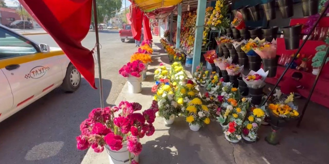 Empiezan a instalarse comerciantes de flores afuera de los panteones