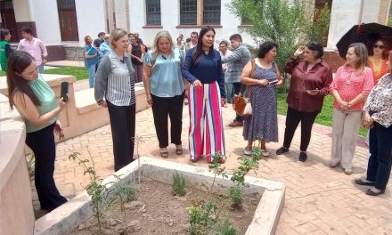Exhorta la secretaría de Medio Ambiente a respetar el paso de la monarca por Coahuila