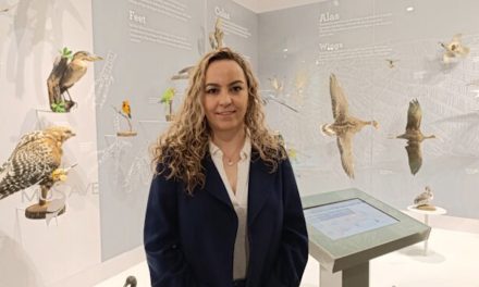Invitan al Festival de las Aves migratorias en el Museo de las Aves