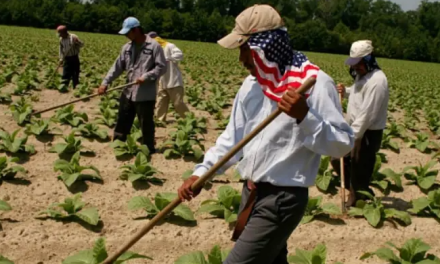 Deportación masiva de migrantes mexicanos, un pilar en la campaña de Trump
