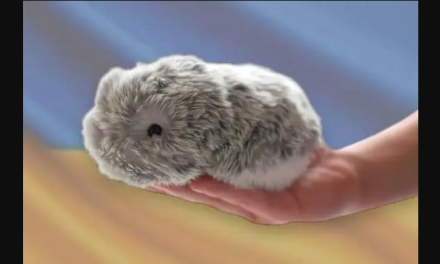 Casio lanza Moflin, un robo impulsado por IA que sustituirá a los hamsters
