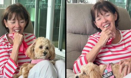 ‘Adiós, amigos míos’; conductora de televisión anuncia su propia muerte en Instagram