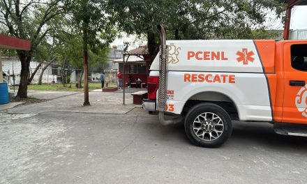 Pitbull se mete a secundaria de Monterrey y ataca a seis menores