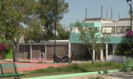 Saltillenses denuncian a vecino del fraccionamiento América por dejar libre a sus 11 perros