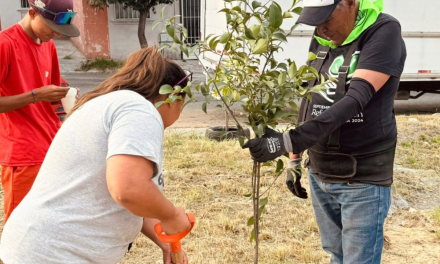 Saltillo supera meta de reforestación de árboles; se sembraron más de 11 mil