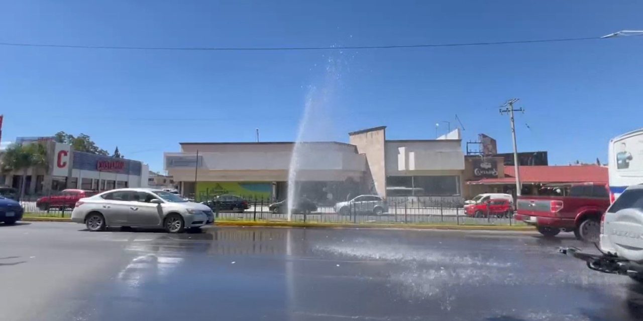 Truena tubería en jardinera municipal en pleno V. Carranza