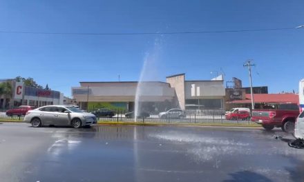 Truena tubería en jardinera municipal en pleno V. Carranza