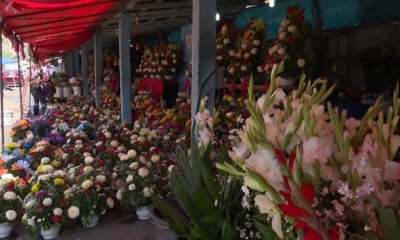 Vigilará Profeco florerías y panteones en Saltillo con motivo del Día de muertos