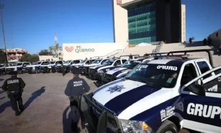 Piden apoyo federal para reforzar la seguridad