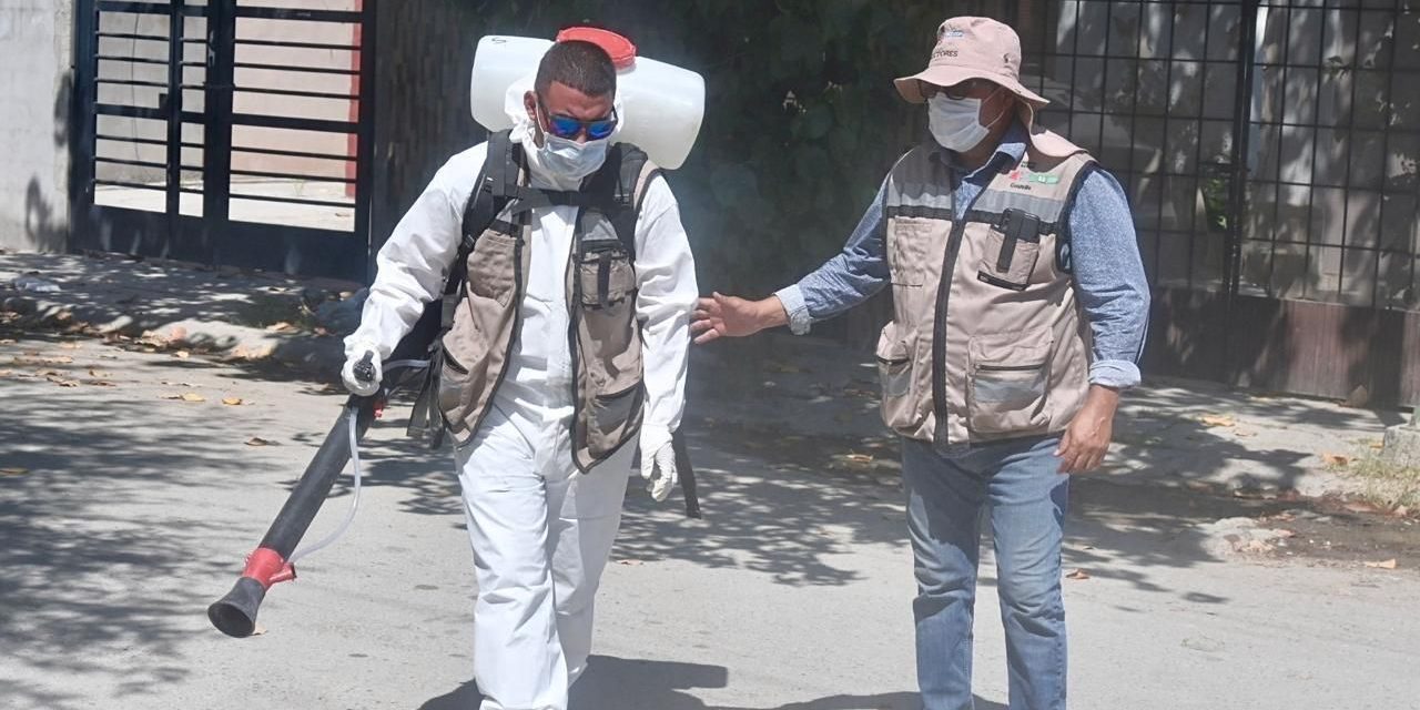 Secretaría de Salud combate el dengue con larvicidas de uso doméstico