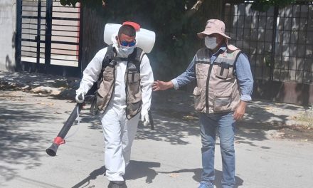 Secretaría de Salud combate el dengue con larvicidas de uso doméstico