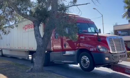 Detienen a trailero en Saltillo por llevar migrantes