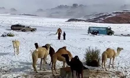 Histórico manto de nieve cubre el desierto saudí de Al Jawf