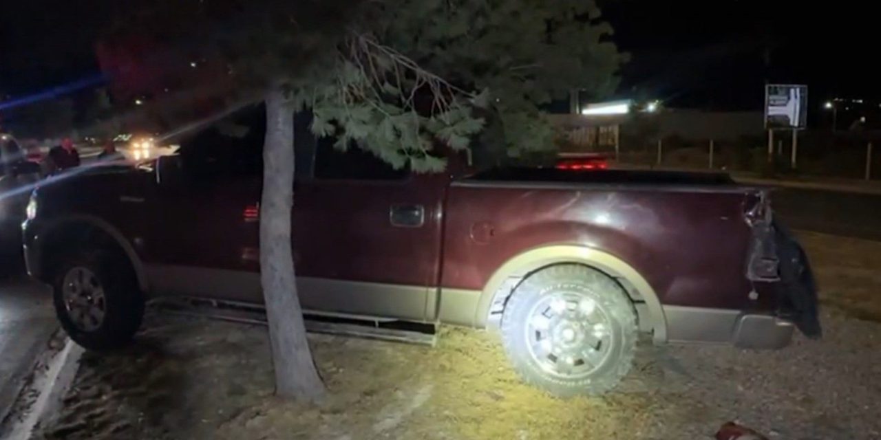 Ebrio derribó un árbol tras accidente en Saltillo