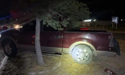 Ebrio derribó un árbol tras accidente en Saltillo