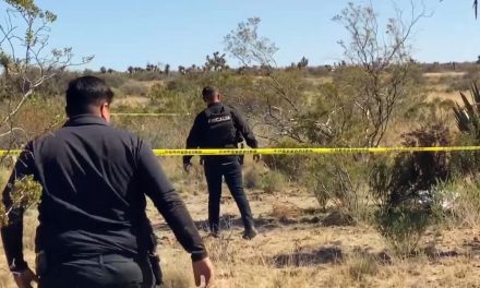 Adulto mayor murió al ser arrastrado por caballos en Arteaga
